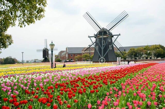 DE NOOD Huis Ten Bosch Japan|DE NOOD Huis Ten Bosch Japan|DE NOOD Huis Ten Bosch Japan|DE NOOD Huis Ten Bosch Japan|DE NOOD Huis Ten Bosch Japan|DE NOOD Huis Ten Bosch Japan